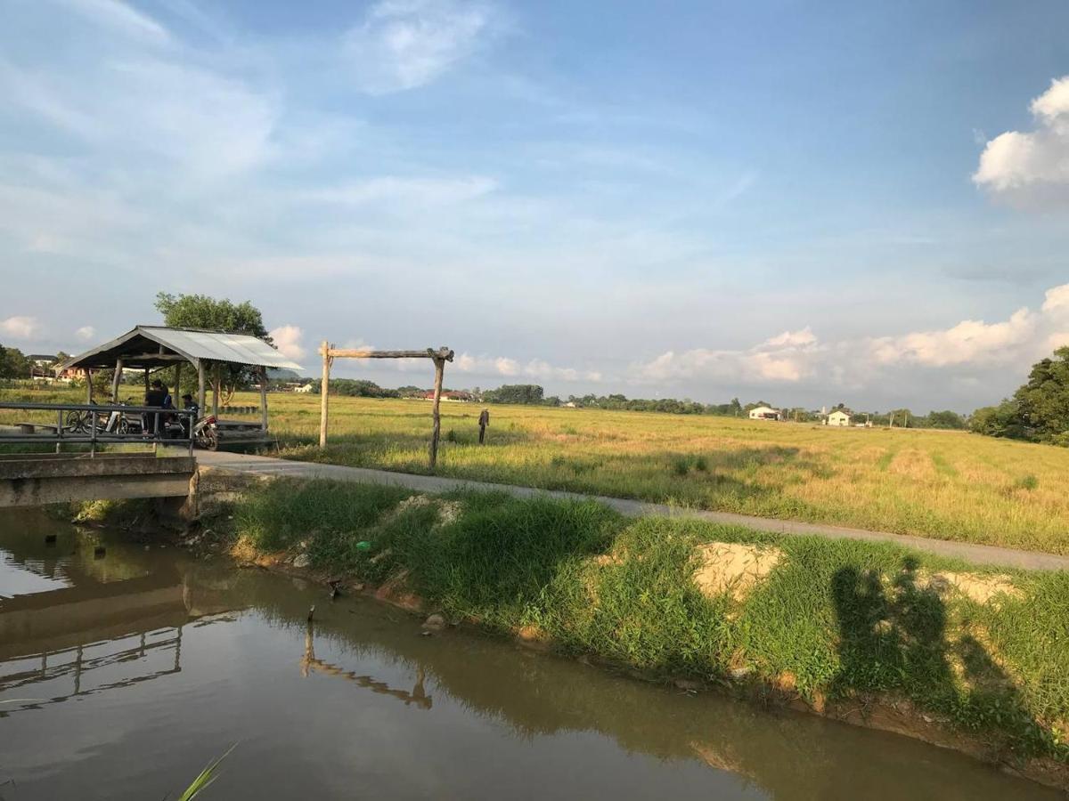 Cozy Homestay Che Yang กัวลาตรังกานู ภายนอก รูปภาพ